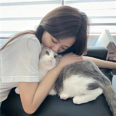 鲨人树儿